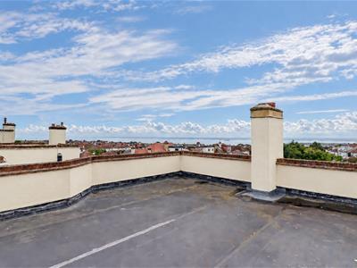Picture 20